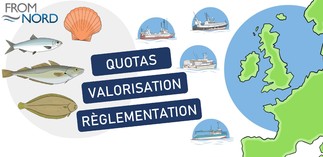 FROM Nord : au service d'une pêche durable et responsable
