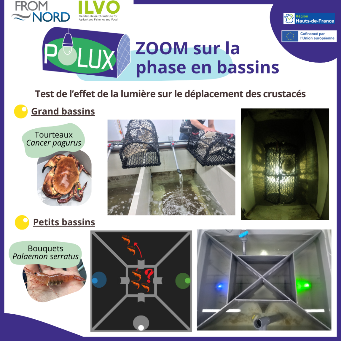EXPÉRIMENTATIONS EN BASSIN