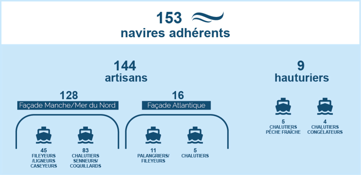 La diversité des flottilles adhérentes et des métiers pratiqués