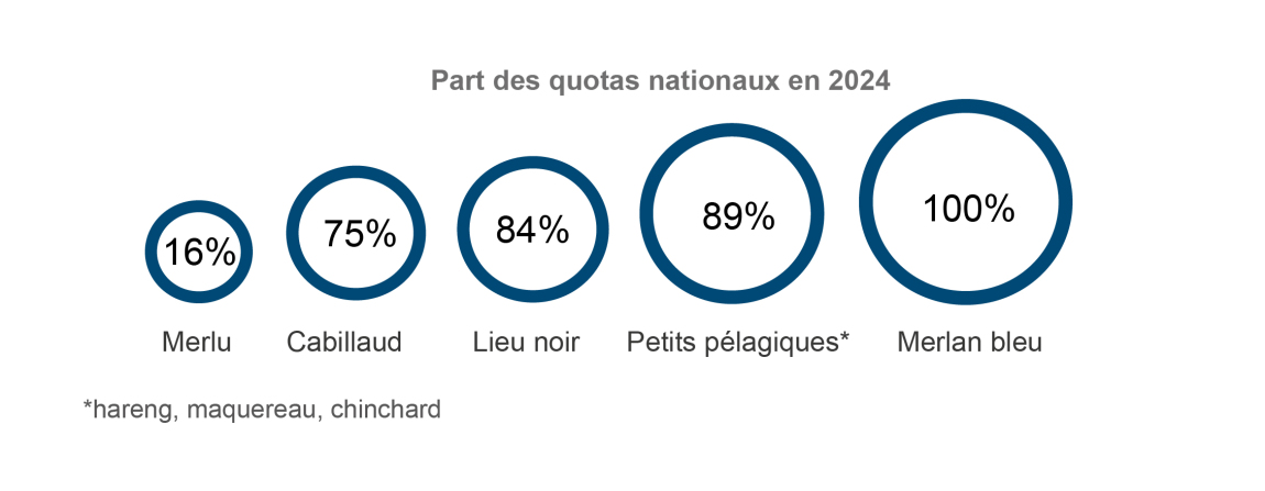 L’importance et la diversité des quotas gérés par l’OP